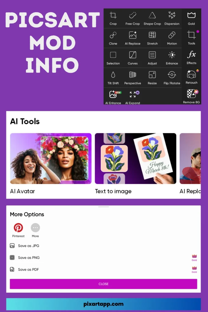 Picsart Mod apk info like formats and filters